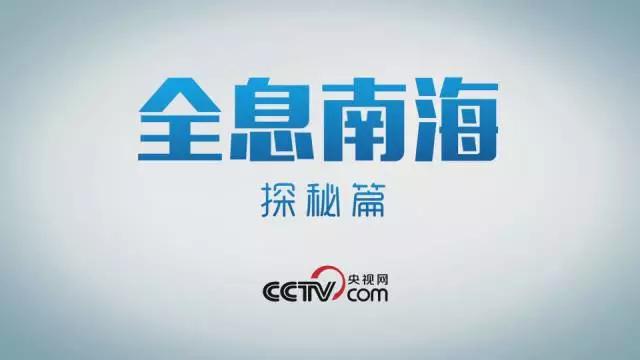 南海水下考古高清视频,中国探索海底最深纪录