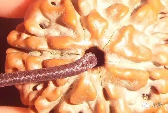 金刚裂了怎么办,金刚裂到什么程度就不能要了