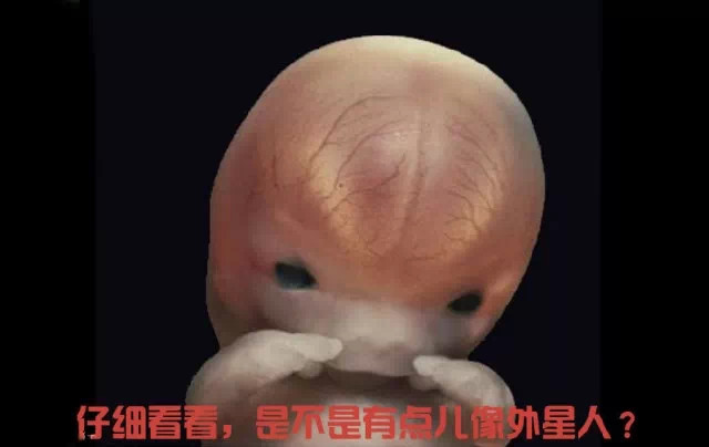 造人计划之前需要做的事,造人计划必须做的事