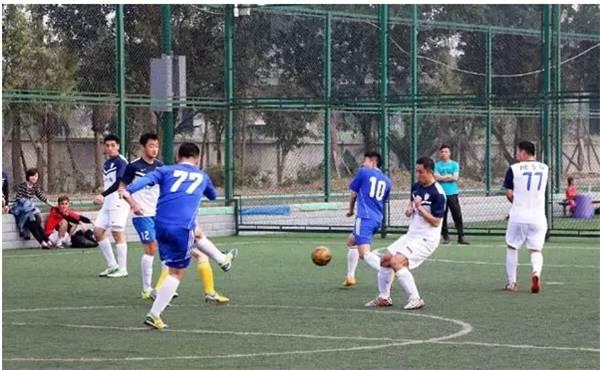 欧洲杯足球在哪里踢得好,欧洲杯足球场地在哪里