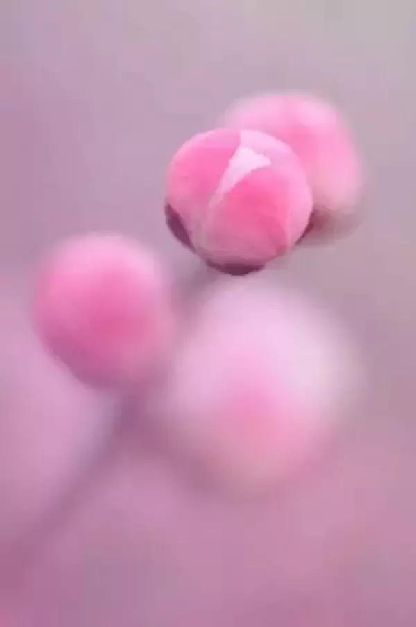 时光不老我们不散的意思是说什么,时光不老我们不散留下美好回忆