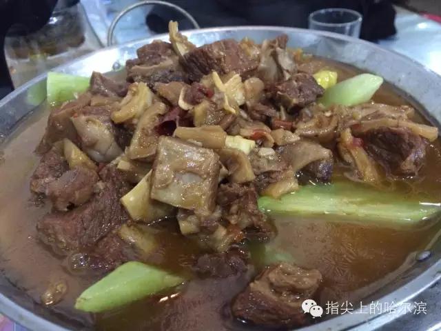 又一家宝藏酒店,又一家饭店