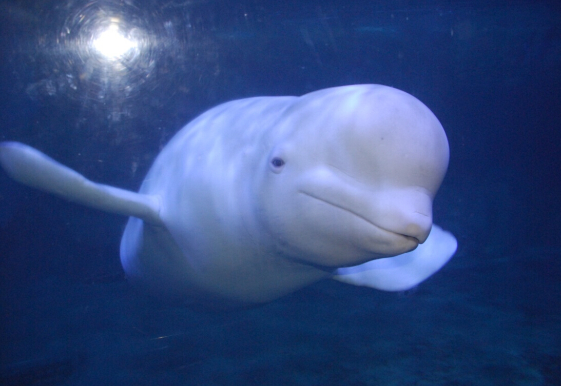 无锡夏天避暑,大热天无锡哪里避暑