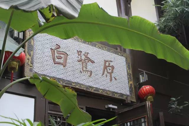 重庆茶室最出名的茶馆,重庆喝茶打麻将的地方都有哪些