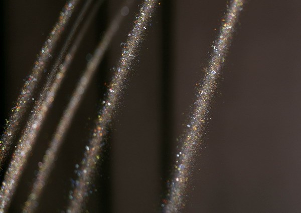 洗完头发头发很软好吗,为啥理发店洗出的头发很顺滑