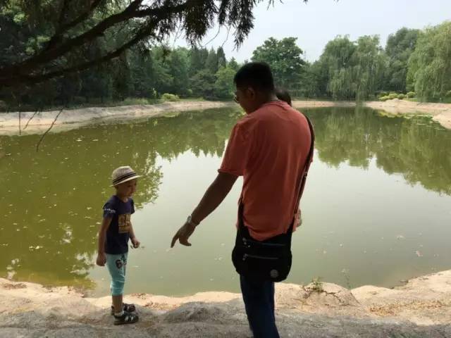 顺义后沙峪镇,顺义区后沙峪村