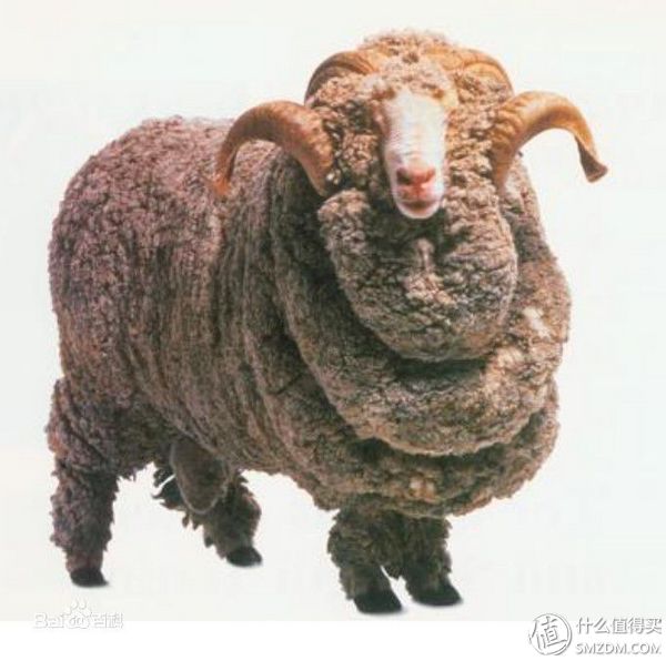 icebreaker滑雪服,icebreaker黑色保暖衣