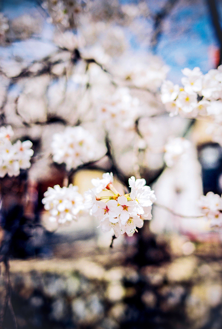 24-70mmf2.8镜头好吗,fe24-70mmf2.8gm镜头