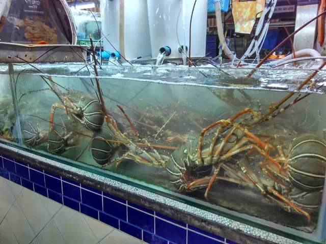 带上小蚁运动相机游泰国（二）普吉岛的沙滩美食和人妖