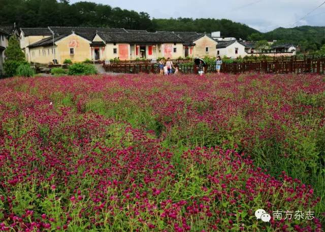 丰顺和大埔,大埔丰顺篮球比赛