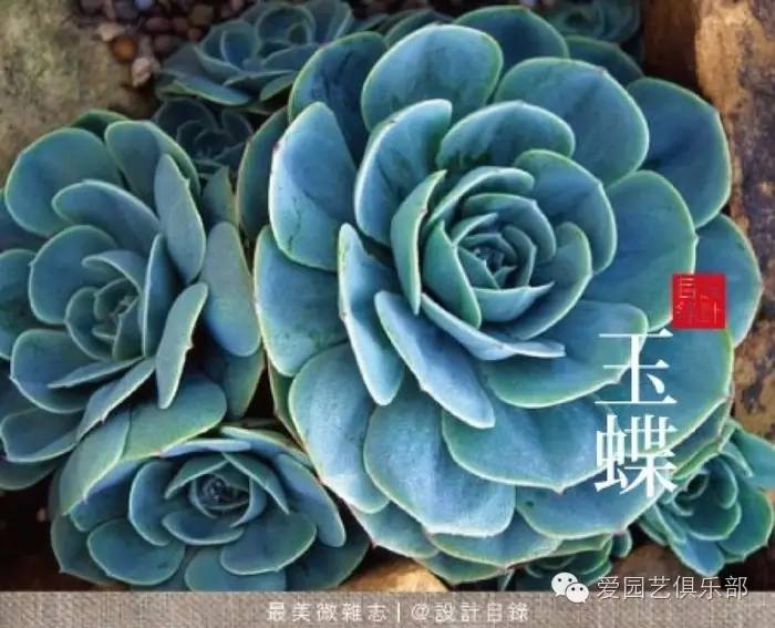 你问我答第八弹视频,你问我答教程