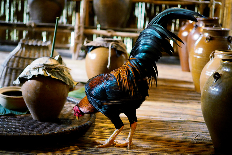 记录梦中的美景奥林巴斯E-PL7沙巴体验记