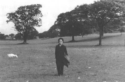 钱锺书写给杨绛的情书经典名句,钱锺书写给杨绛的情话有哪些