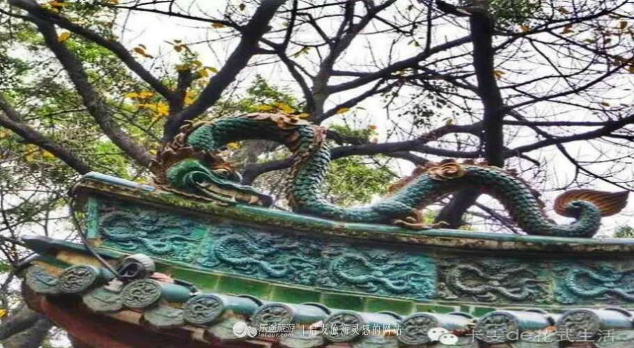 从街边小店到日本,广州最正宗的啫啫煲