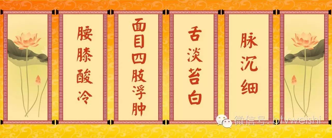 养生堂刘红芳讲补肾三原则,养生堂讲补肾气