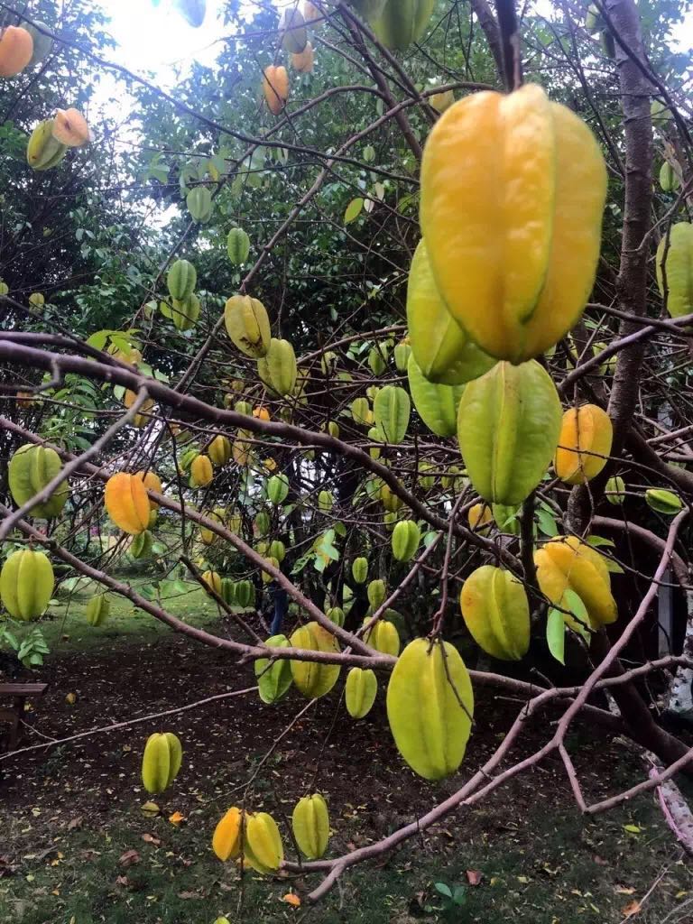 被遗忘的海南,海南被遗忘的浪漫之地