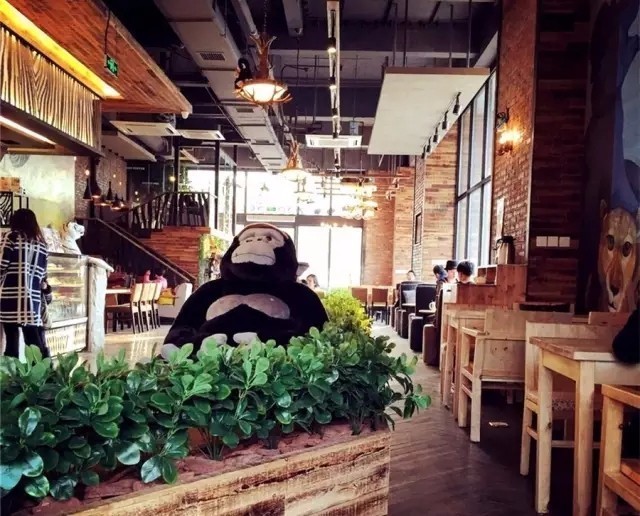 有时间一定要来合肥看海,看海合肥