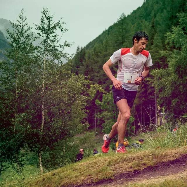 夏季跑步运动t恤,跑步夏季T恤