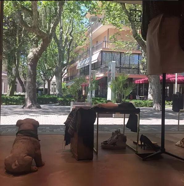 pp boutique小众买手店 (韩国小众高端买手店)