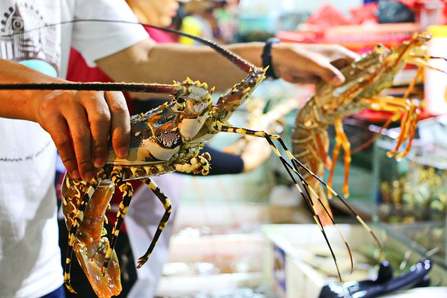 用味蕾感受爱情的酸甜苦辣,用味蕾感受美食独特的魅力