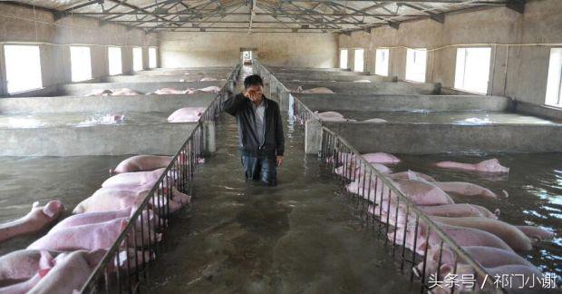 你们吃过辣椒口味的雪糕吗,作死吃冰棍视频