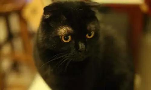 想撩妹儿？在pia~pia~pia之前你要去这些地方