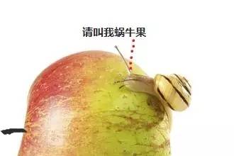 appleid怎么注册,appleid被盗了怎么办