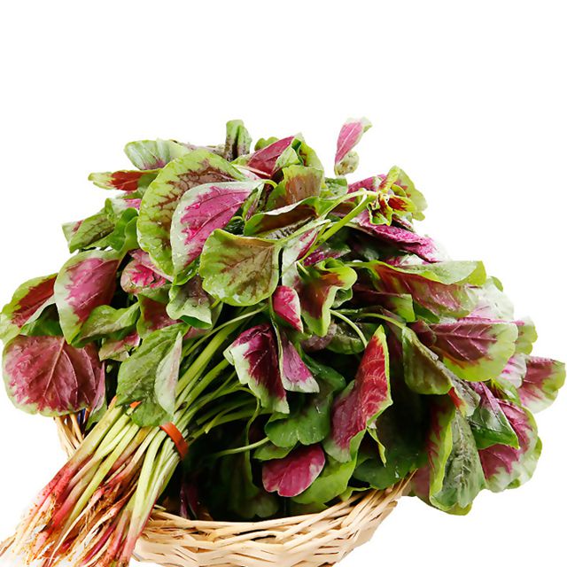 女人如何补气血又有什么方法,女生如何快速有效的补气血