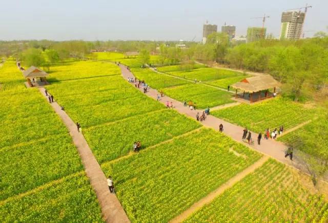 山东各市俯瞰图超级震撼,你以为的山东vs实际上的山东航拍