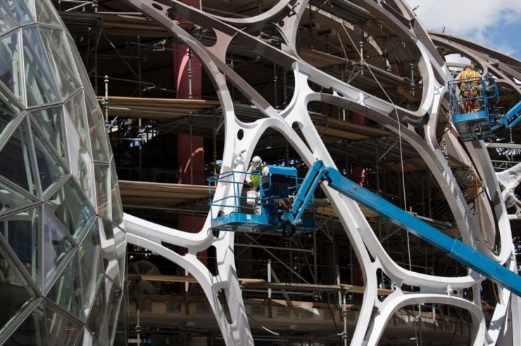 亚马逊植物图片,亚马逊新图像