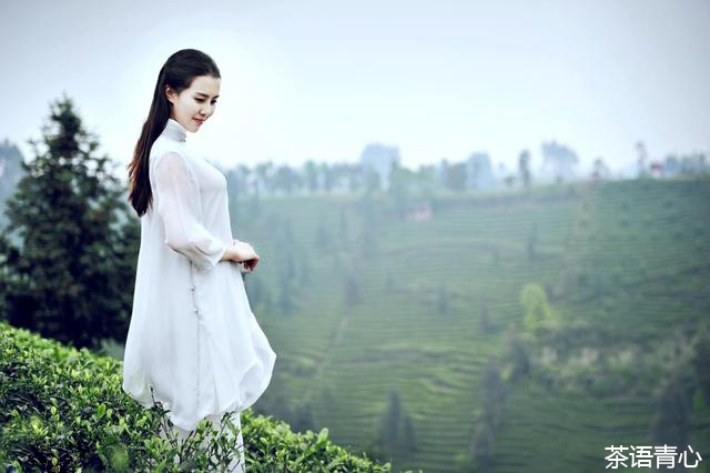 世界旅游小姐新疆,世界旅游小姐新疆赛区