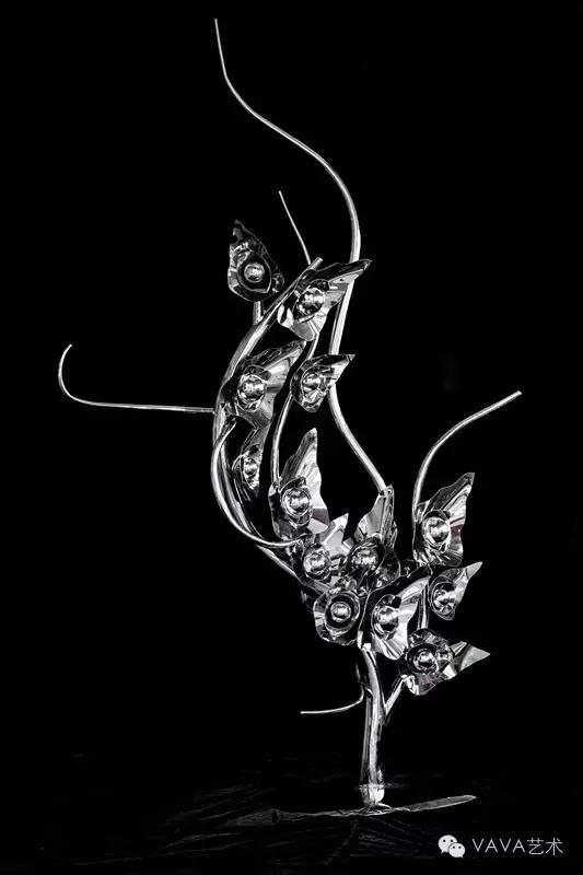 音乐家LisbethScott：通过音乐讲述树的故事