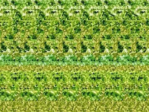 鏄垜鐪肩瀻浜嗗悧,鏄垜鐪肩瀻浜嗗悧鍥剧墖