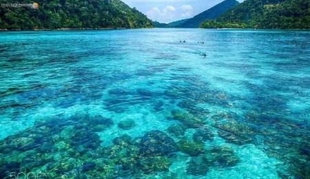 虽然你穷但是什么都懂,虽然你穷但是我爱你