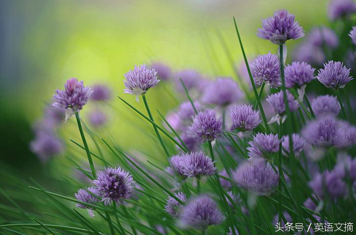 佛语相爱的人注定无缘,注定相遇注定无缘