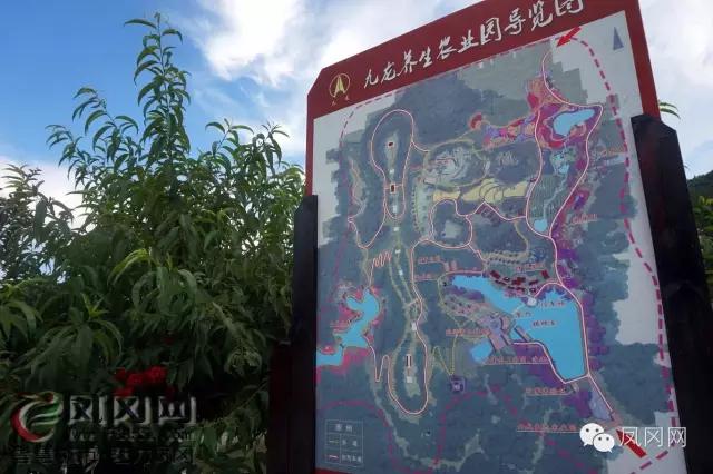 发现凤冈|进化镇九龙观光栈道