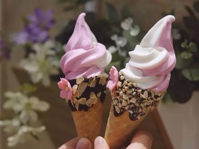 测网红冰淇淋,网红冰淇淋和经典冰淇淋