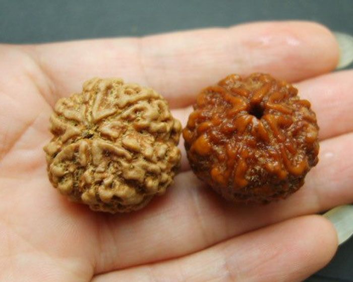 金刚怎么清洗视频教程,金刚网纱窗的清洗方法