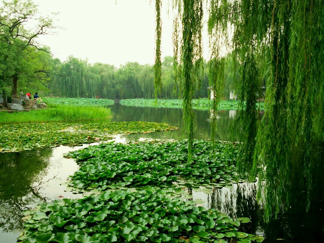 miui8相机专业模式,全方位感受身临其境