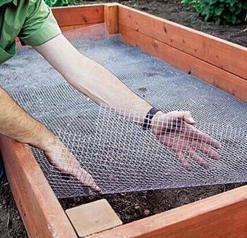 一米菜园风靡全球,一米菜园经营模式怎么样