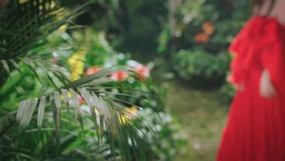 谢娜《偶像来了》官宣GIF动图来袭,果然清纯可爱够吓人!