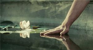 甲骨文拆字:老猫叔叔解忧第十四弹!