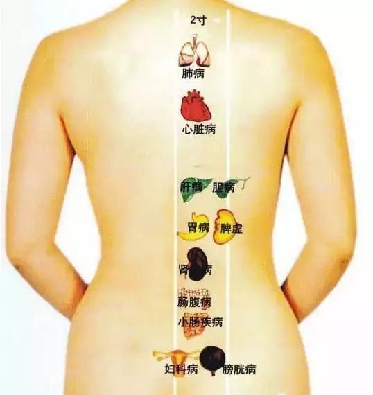 怎样按摩后背简单手法视频,后背保健按摩手法教程