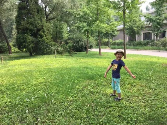 顺义后沙峪镇,顺义区后沙峪村