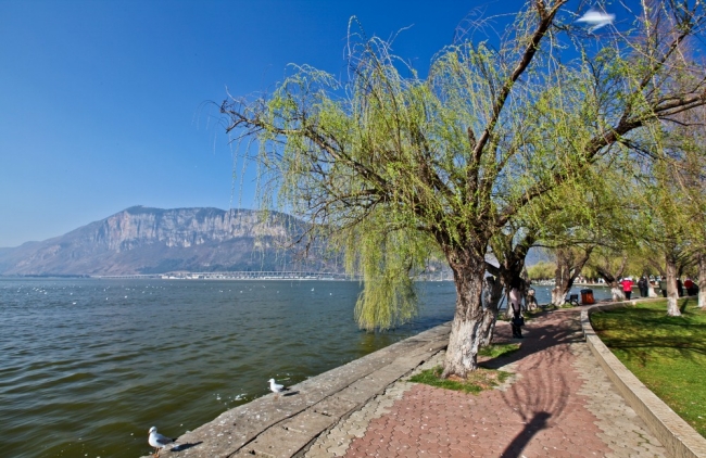 高洪波国足,国足本土教练高洪波