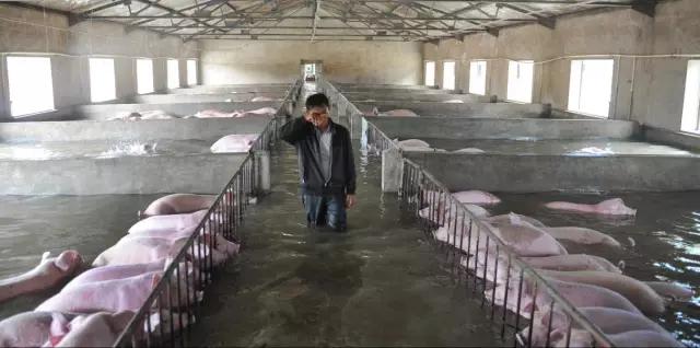 城市暴雨如何防护安全,收好这份暴雨自救指南