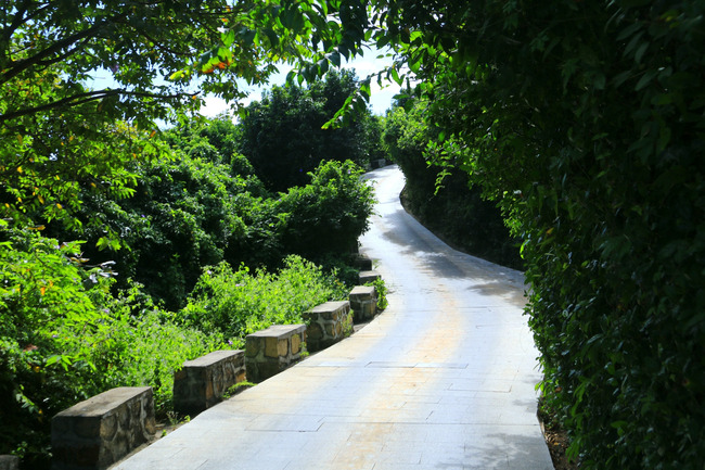 用味蕾感受爱情的酸甜苦辣,用味蕾感受美食独特的魅力