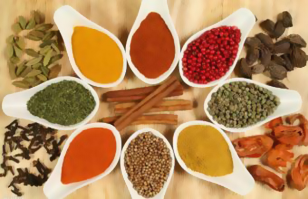 餐饮供应链创业项目,餐饮食材电商创业