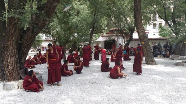 拉萨旅游费用图,南京到拉萨旅游