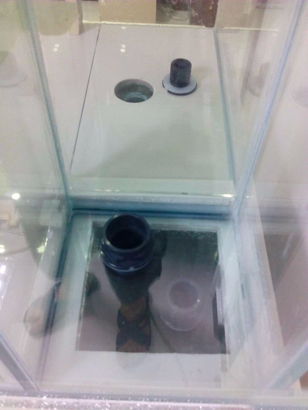 没养鱼有油膜,没养鱼只是在岸上走